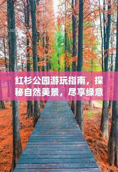 红杉公园游玩指南，探秘自然美景，尽享绿意盛宴！