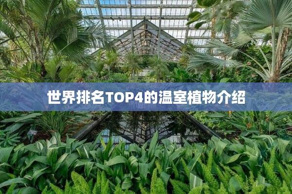 世界排名TOP4的温室植物介绍