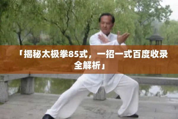 「揭秘太极拳85式，一招一式百度收录全解析」