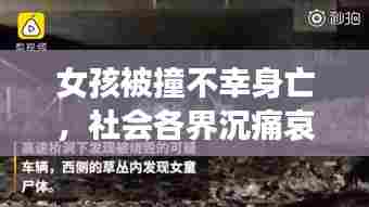 女孩被撞不幸身亡,社会各界沉痛哀悼