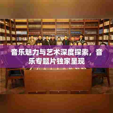 音乐魅力与艺术深度探索,音乐专题片独家呈现