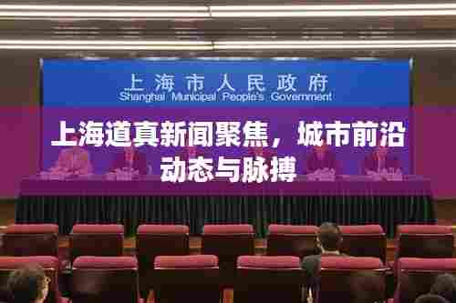 上海道真新闻聚焦，城市前沿动态与脉搏