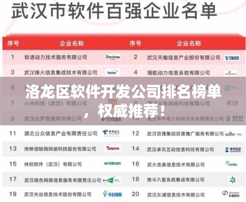 洛龙区软件开发公司排名榜单，权威推荐！