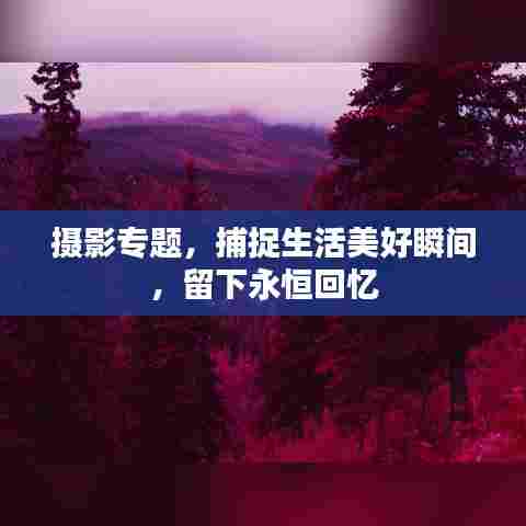 摄影专题，捕捉生活美好瞬间，留下永恒回忆