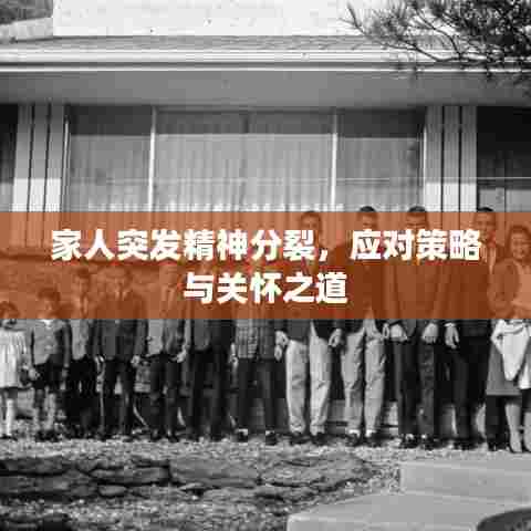 家人突发精神分裂，应对策略与关怀之道