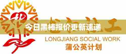 今日黑棒报价更新速递