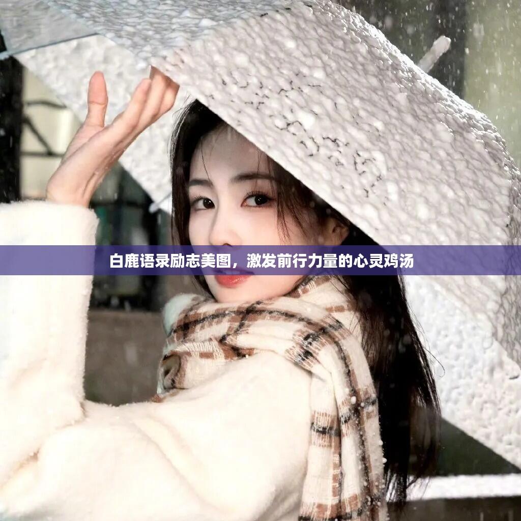 白鹿语录励志美图,激发前行力量的心灵鸡汤