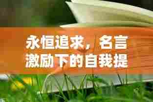 永恒追求，名言激励下的自我提升之路