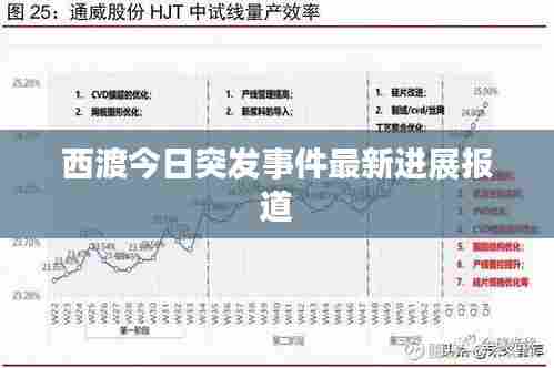 西渡今日突发事件最新进展报道