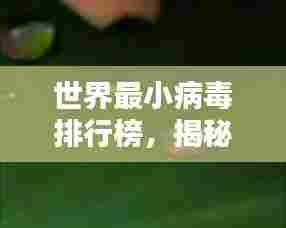世界最小病毒排行榜，揭秘微小生命体的神秘面纱