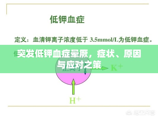 突发低钾血症晕厥，症状、原因与应对之策