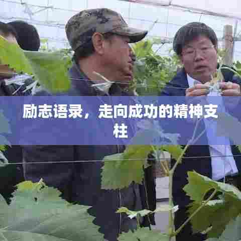 励志语录，走向成功的精神支柱