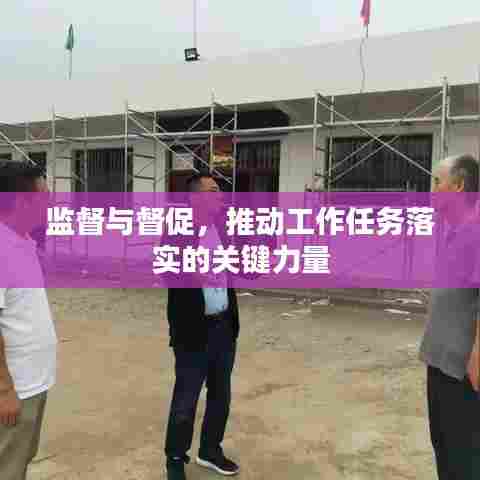 监督与督促，推动工作任务落实的关键力量
