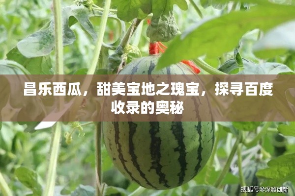 兵贵神速 第6页