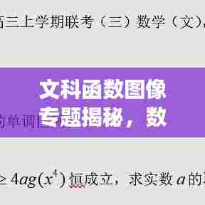 文科函数图像专题揭秘，数学之美与艺术的探索之旅