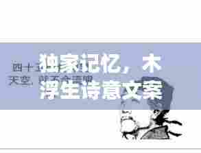 独家记忆，木浮生诗意文案，韵味深长
