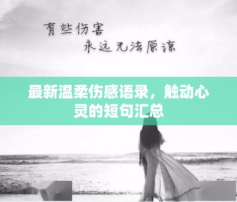 最新温柔伤感语录，触动心灵的短句汇总