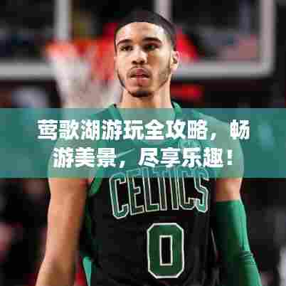 莺歌湖游玩全攻略，畅游美景，尽享乐趣！