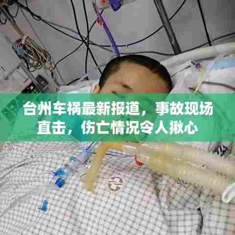 大雅君子 第6页