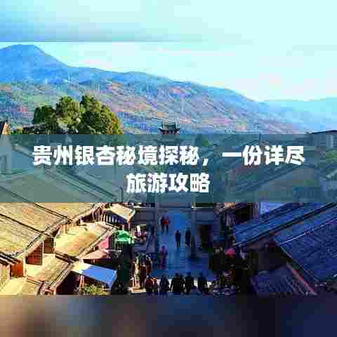 贵州银杏秘境探秘，一份详尽旅游攻略