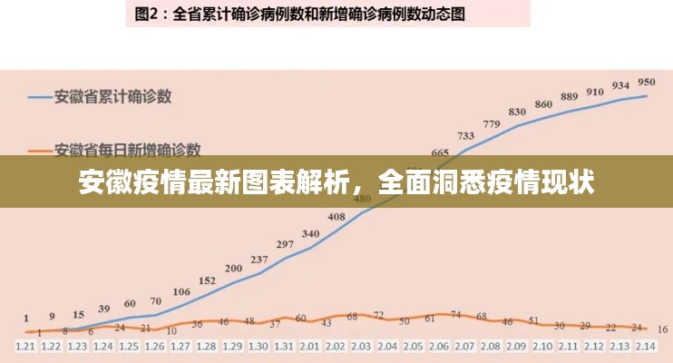 安徽疫情最新图表解析，全面洞悉疫情现状
