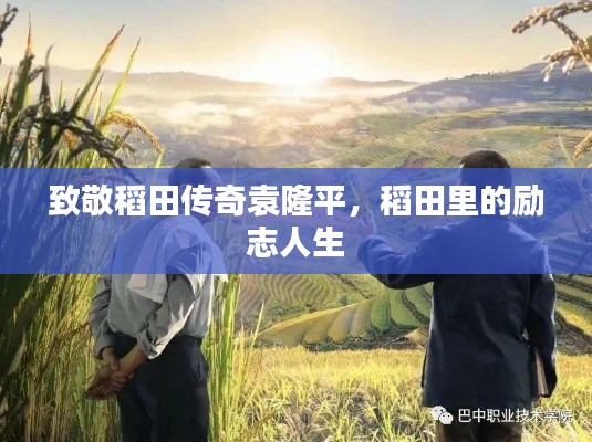 致敬稻田传奇袁隆平，稻田里的励志人生