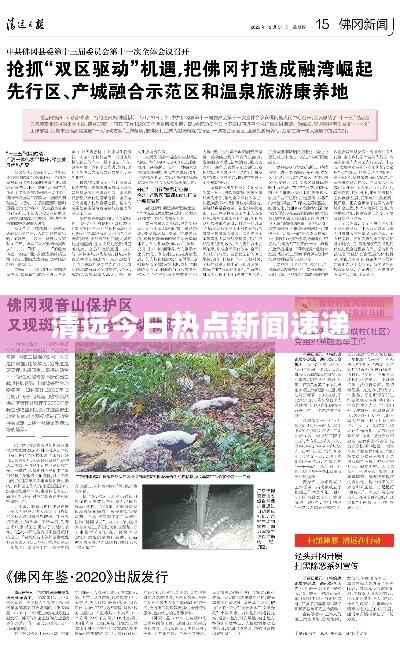 眉目如画 第5页