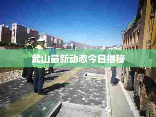 武山最新动态今日揭秘