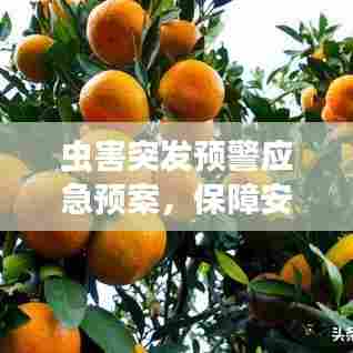 虫害突发预警应急预案，保障安全，防患于未然