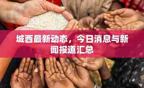 城西最新动态，今日消息与新闻报道汇总