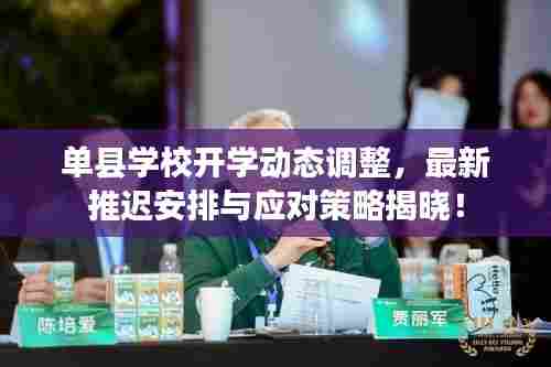 单县学校开学动态调整，最新推迟安排与应对策略揭晓！