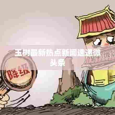 玉树最新热点新闻速递微头条