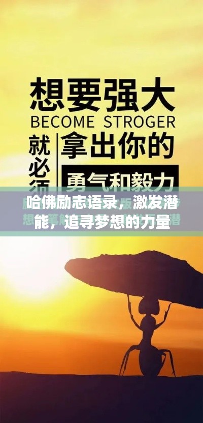 奔走如飞 第5页