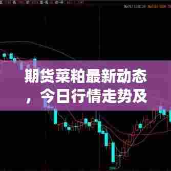 期货菜粕最新动态,今日行情走势及市场分析