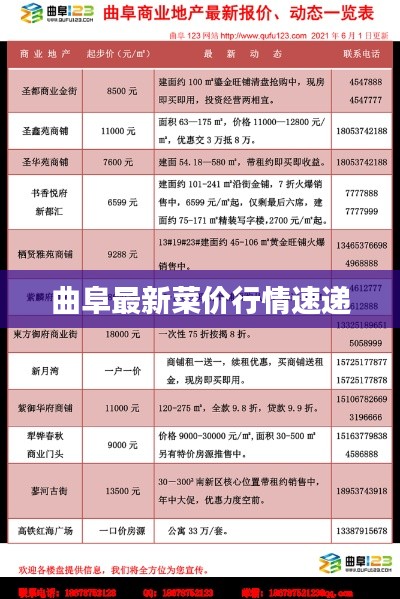 曲阜最新菜价行情速递