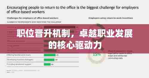 职位晋升机制，卓越职业发展的核心驱动力