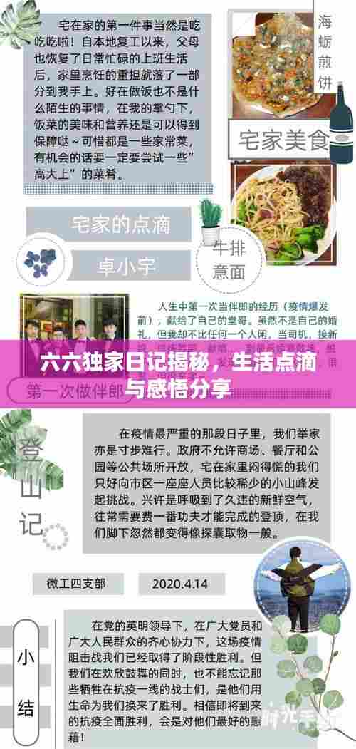 六六独家日记揭秘，生活点滴与感悟分享