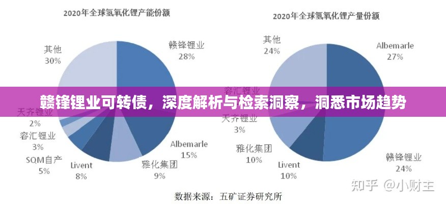 赣锋锂业可转债，深度解析与检索洞察，洞悉市场趋势
