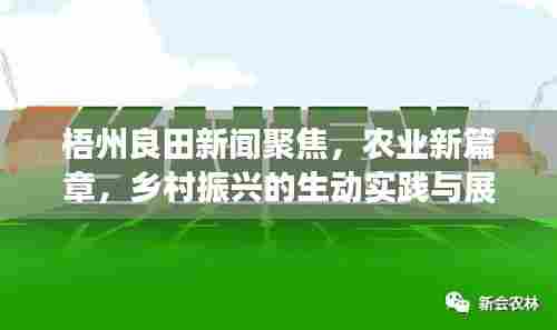 梧州良田新闻聚焦，农业新篇章，乡村振兴的生动实践与展望