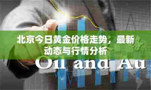 北京今日黄金价格走势,最新动态与行情分析