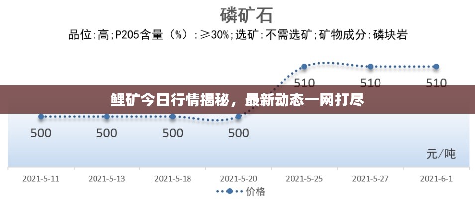 鲤矿今日行情揭秘，最新动态一网打尽