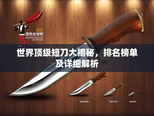世界顶级短刀大揭秘，排名榜单及详细解析