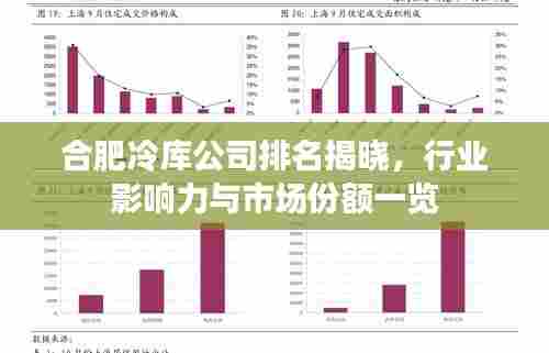 合肥冷库公司排名揭晓，行业影响力与市场份额一览