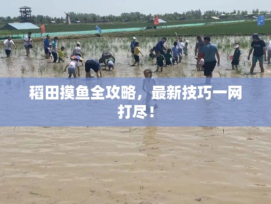 稻田摸鱼全攻略，最新技巧一网打尽！