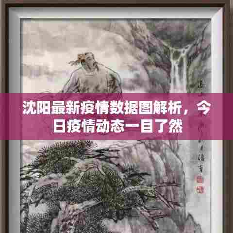 沈阳最新疫情数据图解析，今日疫情动态一目了然