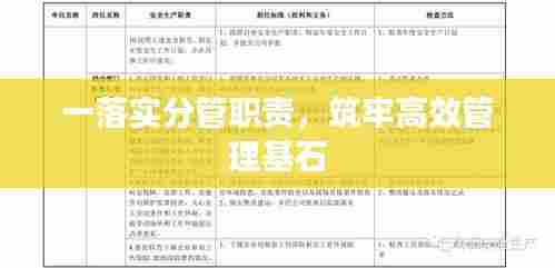 一落实分管职责，筑牢高效管理基石