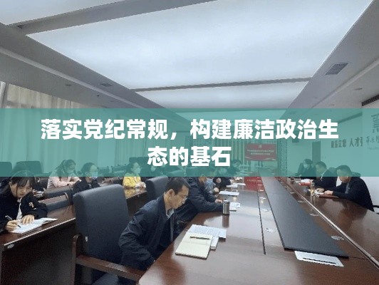 落实党纪常规，构建廉洁政治生态的基石