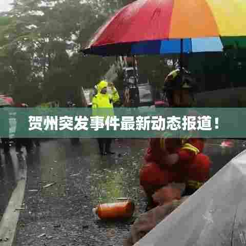 贺州突发事件最新动态报道!