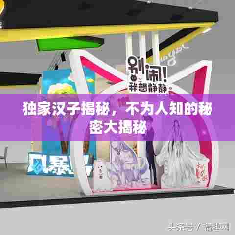 独家汉子揭秘,不为人知的秘密大揭秘