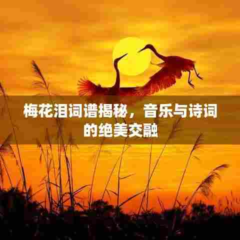 梅花泪词谱揭秘，音乐与诗词的绝美交融